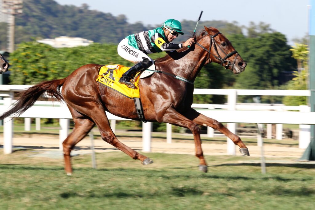 Quadro de Honra – GP Jockey Club Brasileiro (G1)