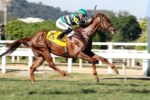 Quadro de Honra – GP Jockey Club Brasileiro (G1)