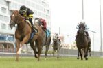 Filo di Arianna, mais uma vez, é eleito o Melhor Cavalo de Grama do Canadá