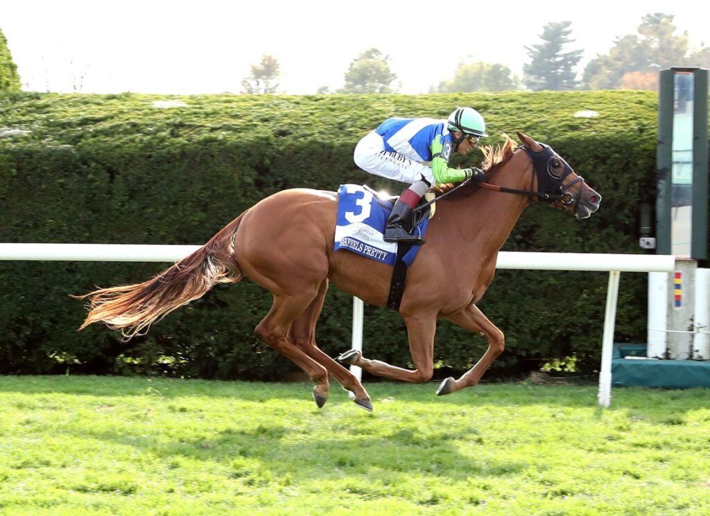 Tv Turfe: Primeiro G1 da temporada e uma prova de G3 agitam Saratoga, neste sábado (12)