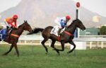 Quadro de Honra – GP Armando Carneiro (G3)