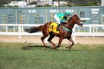 Quadro de Honra – GP João José e José Carlos de Figueiredo (G3)