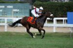 Quadro de Honra – GP Costa Ferraz (G3)