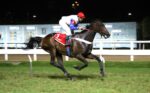 Quadro de Honra – GP Marciano de Aguiar Moreira (G2)