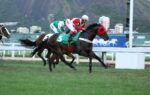 Quadro de Honra – GP Adhemar e Roberto Gabizo de Faria (G3)