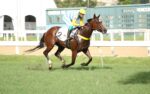 Quadro de Honra – GP Octavio Dupont (G3)