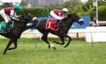 Quadro de Honra – GP Mariano Procópio (G3)