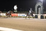 El Kodigo, o dono do Ramirez 2025. Brasileiro Universal Horse forma a dupla em fantástica performance