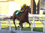 Tv Turfe: Obstacle estreia sábado no Suburban Stakes (G2), em Saratoga
