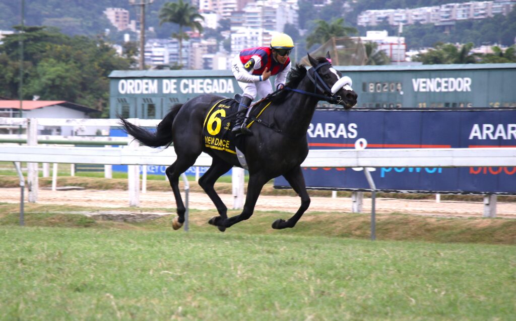 No GP Roberto e Nelson Seabra – Haras Santa Maria de Araras (G1), a certeza de um desfecho eletrizante