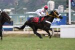 Quadro de Honra – GP Estado do Rio de Janeiro – Haras Santa Maria de Araras (G1) – 1ª Etapa da Tríplice Coroa de Produtos