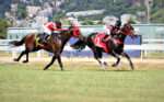 Quadro de Honra – GP Hipódromo da Gávea (G3)