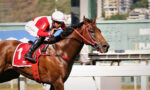 Quadro de Honra – GP Luiz Fernando Cirne Lima (G3)