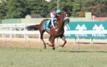 Quadro de Honra – GP Euvaldo e Milton Lodi (G3)