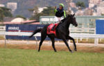 Quadro de Honra – GP Diana – Haras Santa Maria de Araras (G1)
