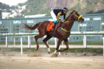 L’Ente Supremo conquista o bicampeonato do GP Professor Nova Monteiro (G3)