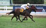 GP Adayr Eyras de Araujo (G3): Tutifruti supera Endless Love e assume a liderança entre as potrancas