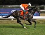 Líder e invicto, Torres Garcia domina o GP Conde de Herzberg (G2)