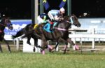 Quadro de Honra – GP Presidente Vargas (G3)
