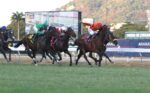 Quadro de Honra – GP Francisco E. e Linneo E. de Paula Machado – Haras Santa Maria de Araras (G1)
