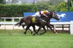 Underpaints esbanja classe para superar ausência das pistas e o valente Oviedo no GP Antonio J.P. de Castro Jr. (G2)