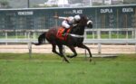 Quadro de Honra – GP Alfredo Grumser (G3)