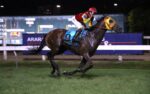 Quadro de Honra – GP Cruzeiro do Sul – Haras Santa Maria de Araras (G1) – Derby Brasileiro