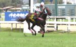 Quadro de Honra – GP Gervásio Seabra (G2)