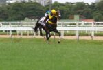 Naturalizada, um galope de saúde no GP Zélia Gonzaga Peixoto de Castro – Araras Blood & Power (G1)