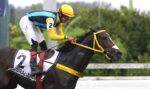 Quadro de Honra – GP Zélia G. Peixoto de Castro – Haras Santa Maria de Araras – (G1)