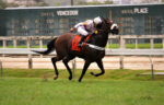 GP Major Suckow – Haras Niju (G1): A incrível Vivi Magique no caminho do inédito tri de Mandrake