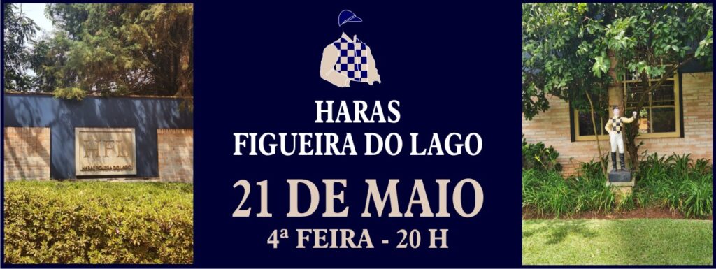 O atributo alt desta imagem está vazio. O nome do arquivo é 20250521_harasfigueiradolago-1024x385.jpg