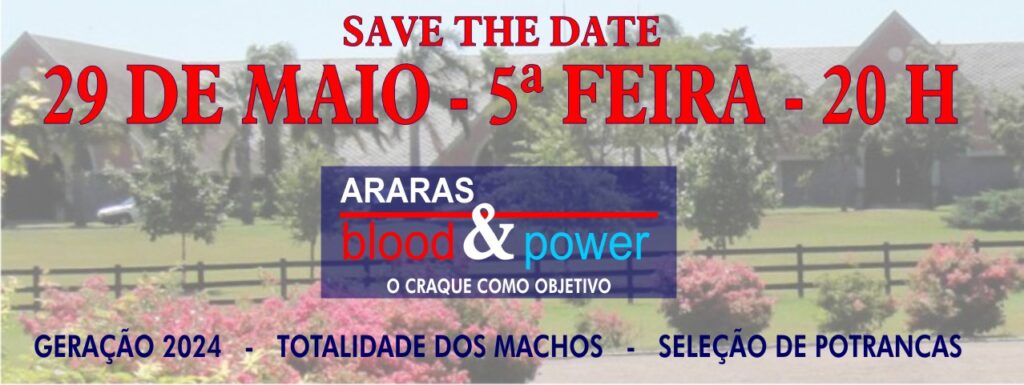 O atributo alt desta imagem está vazio. O nome do arquivo é 20250529_araras_blood_power-1024x385.jpg