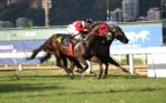 Na rota do tricampeonato, Mandrake bate Barzana no Clássico Jockey Club de São Paulo (L.)