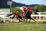 Quadro de Honra – Clássico Jockey Club de São Paulo (L.)