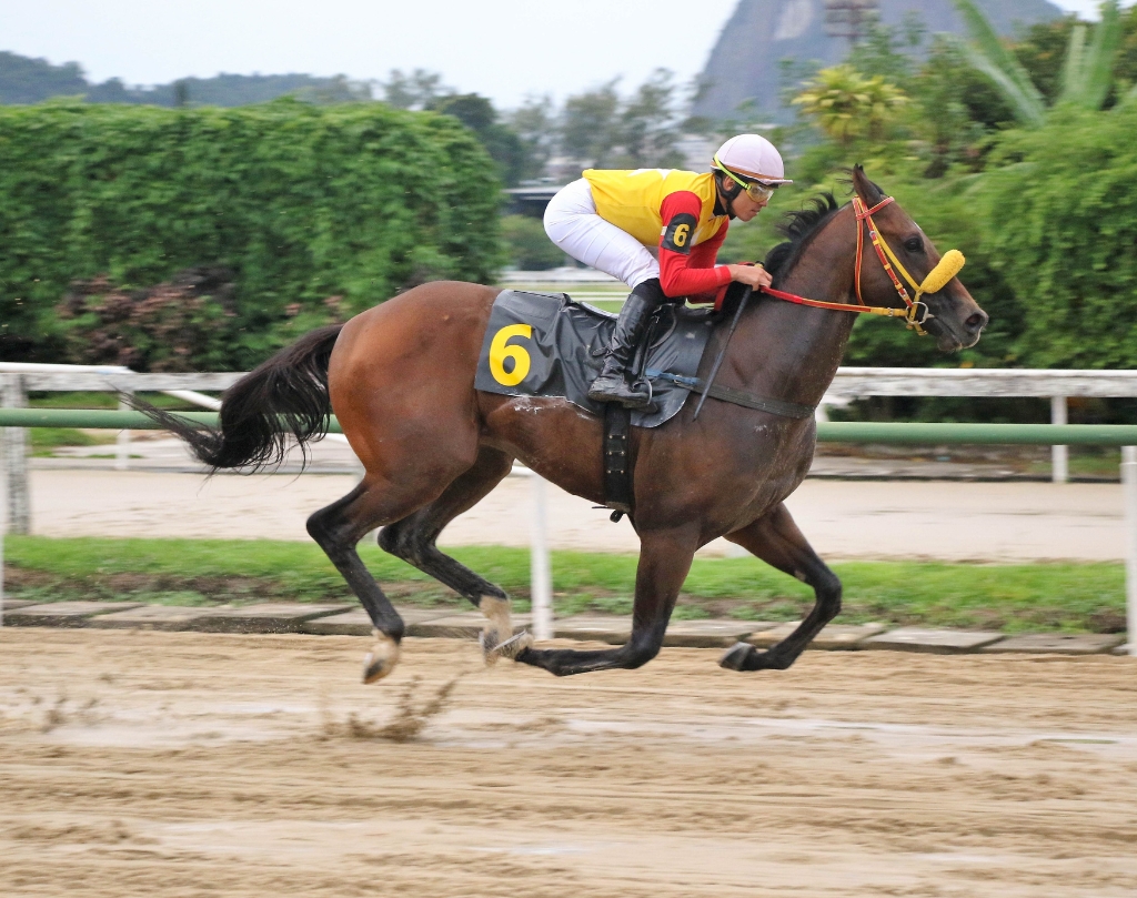 Galeria de Fotos – Confira os vencedores deste DOMINGO (11/05) no JCB