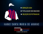 Leilão do Haras Santa Maria de Araras agita o mundo turfístico nesta QUINTA (29)