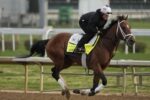 Sem Sovereignty, nove competidores estão no campo do Preakness Stakes (G1) 2025