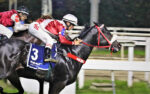 Pedigrees da semana: DREAM ALLIANCE e OTEQUE