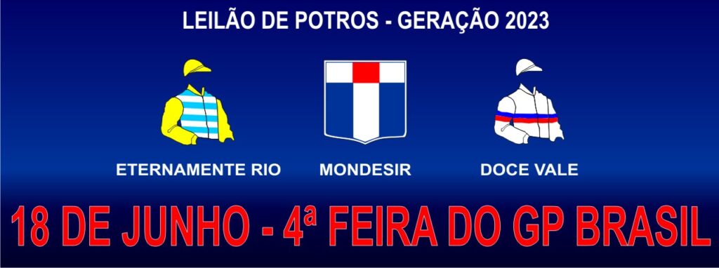 O atributo alt desta imagem está vazio. O nome do arquivo é 20250618_potrosgr2023gpbrasil-1024x382.jpg