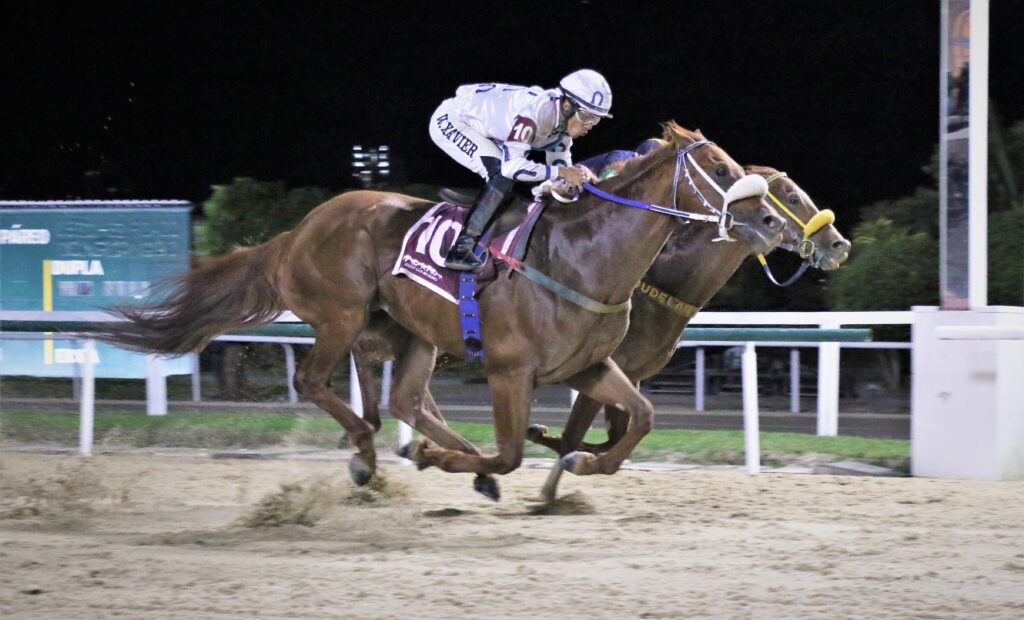 Quadro de Honra – GP Delegações Turfísticas (G3)