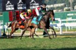 Odalisca, exibição de gala no GP Francisco Villela de Paula Machado (G2)