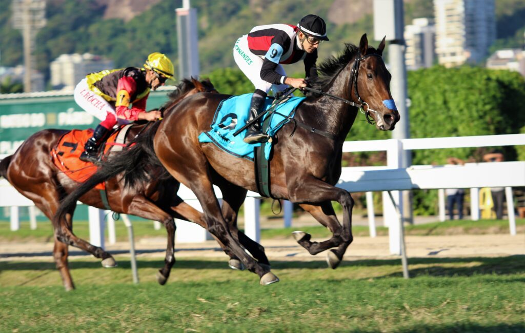 Quadro de Honra – GP Francisco Villela de Paula Machado – TBS International (G2)