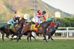 Mandrake, um mágico e inédito tricampeão do GP Major Suckow – Haras Niju (G1)