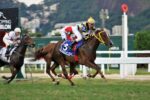 Night Of Rose brilha no GP Roberto e Nelson Seabra – Haras Santa Maria de Araras (G1)