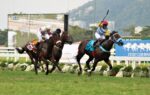 Quadro de Honra – GP Jockey Club Brasileiro – Haras Santa Rita da Serra (G1)