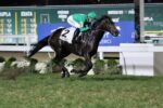 Jimbongo confirma o favoritismo no GP ABCPCC – Taça Stud Book Brasileiro – TBS International (G3)