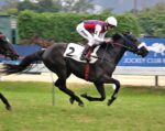 Galeria de Fotos – Confira os vencedores deste DOMINGO (01/06) no JCB