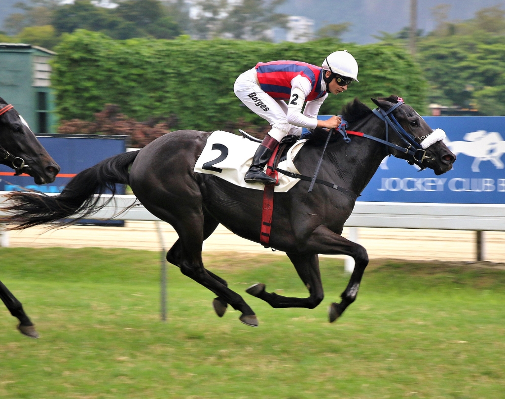 Galeria de Fotos – Confira os vencedores deste DOMINGO (01/06) no JCB