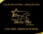 Hoje: Leilão da Geração 2023 do Haras Santa Rita da Serra